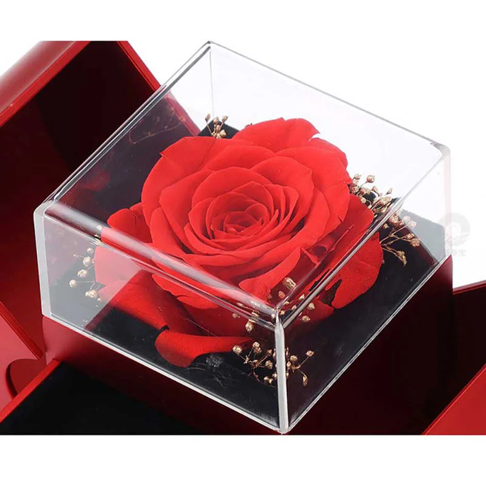 Forever Rose Apple Gift Box with Love Knot Necklace - To My Love